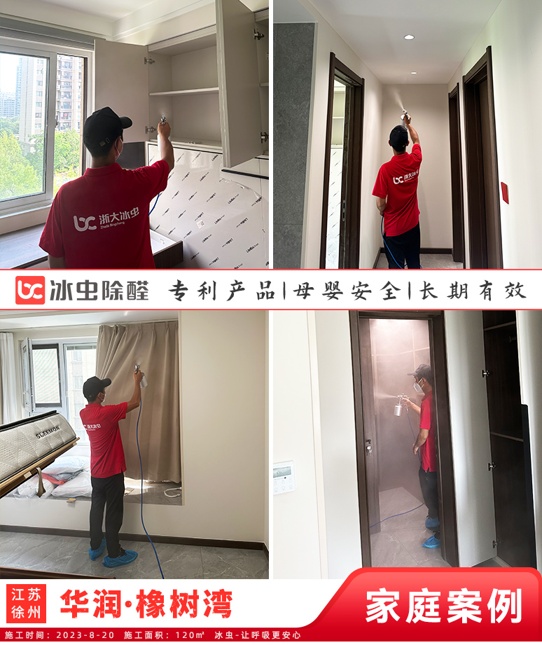 徐州碧桂园·凤凰公馆新房除甲醛.jpg