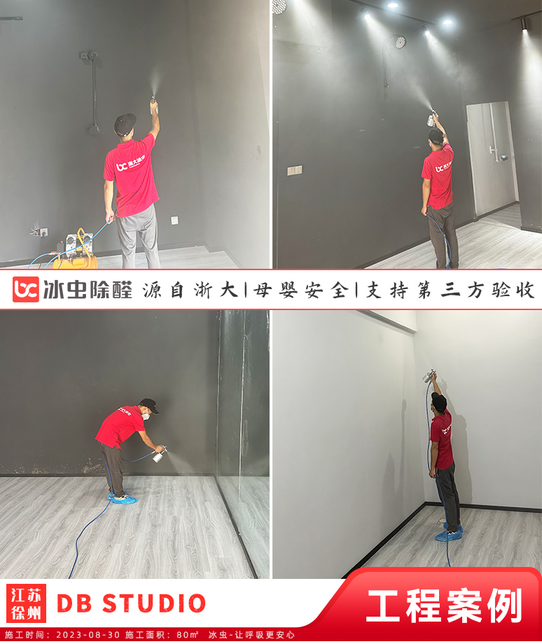 冰虫除甲醛案例-DB STUDIO