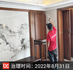徐州-国信·上城叠院