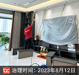 碧桂园·凤凰公馆